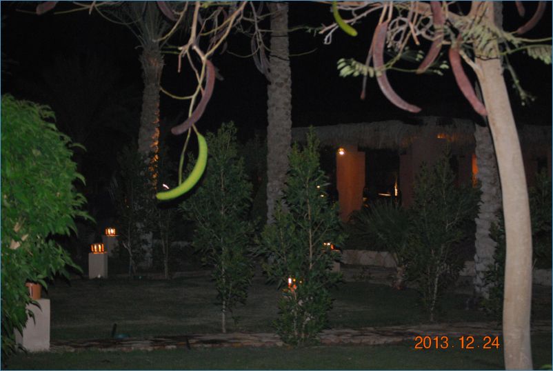 sharm 12 081